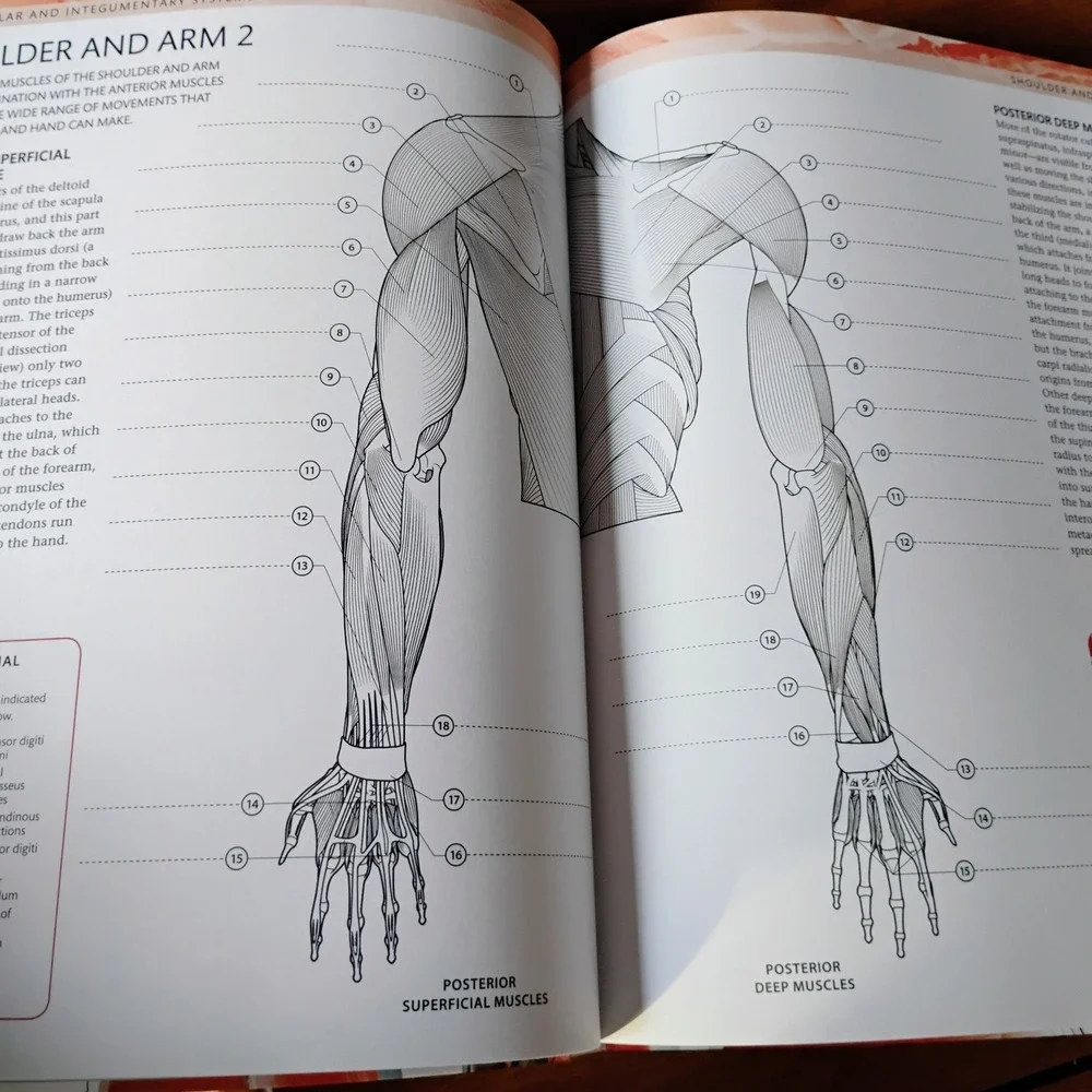 Dkode human body